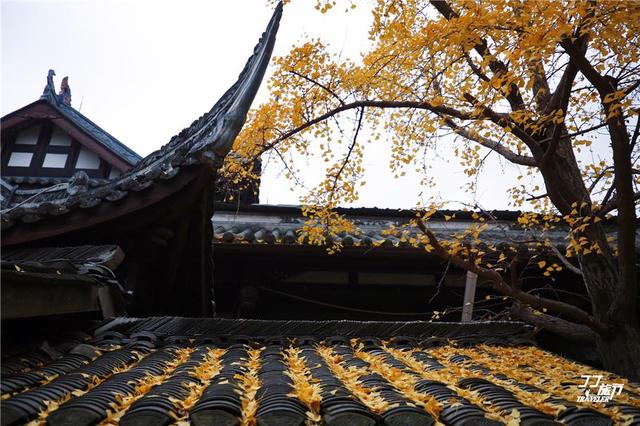 锦里在成都哪里，锦里位于成都哪里（全国十大城市商业步行街的成都锦里）