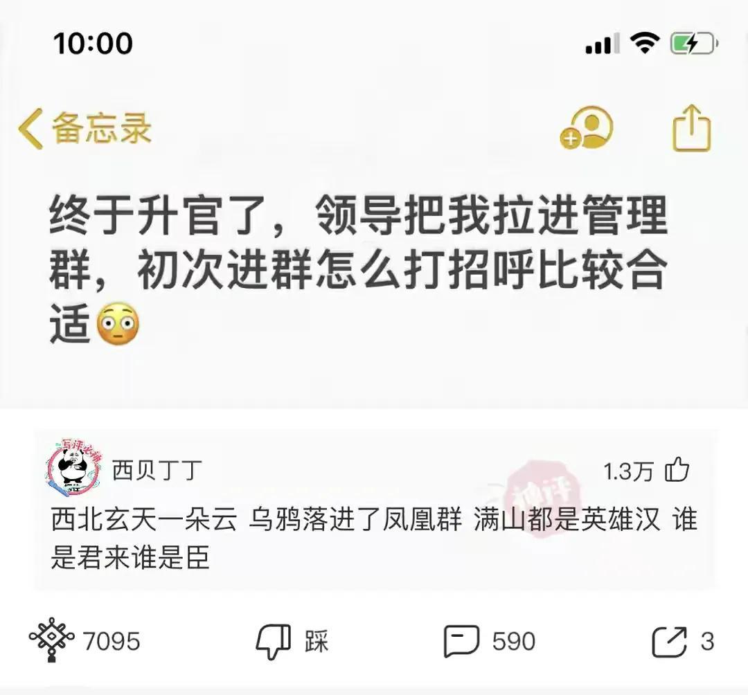 刚进群怎么打招呼有情商的人，入职新进群说的客套话