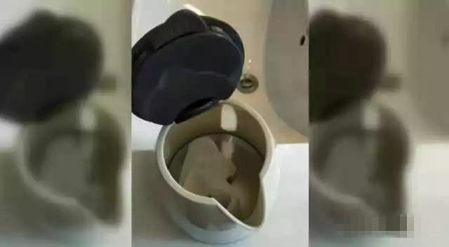 哪个牌子的电热杯比较好，哪个牌子的电热杯比较好耐用（四款横评，告诉你到底值不值）