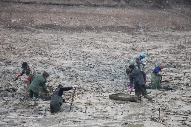 畚斗是哪里的方言，斗怎么读音是什么（诸暨话，最有个性的江南方言）