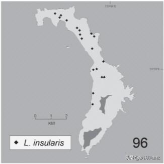 楸型虫是什么，楸型虫图片欣赏（这些金锹你都认识）