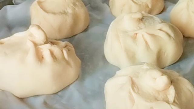 长豆角素包子的做法_豆角素包子怎么做，家常豆角鸡蛋素包子（豆角素馅包子怎么做好吃）