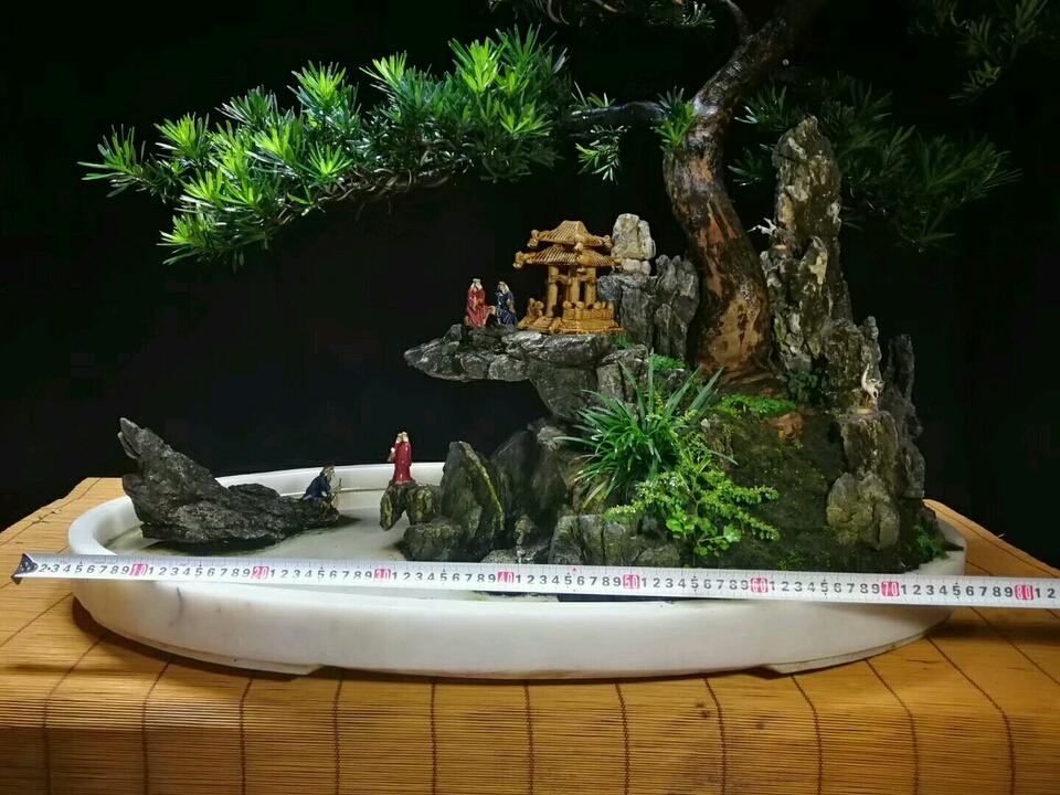 罗汉松叶子发黄干枯是什么原因，罗汉松叶子发黄干枯还能活吗（罗汉松盆景的松针叶子发黄了怎么回事）