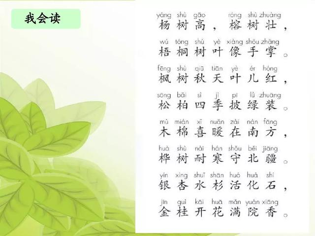 汉字松的组词，松的组词（部编版二年级语文上册识字2《树》知识点+图文解读）