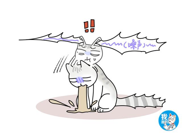 猫咪听不得的四种声音，高音调的声音竟会导致猫咪癫痫