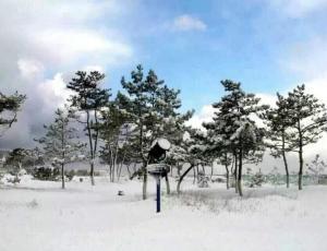 威海市区面积多少平方公里，威海市市区面积多少平方公里（山东“威海”概述）