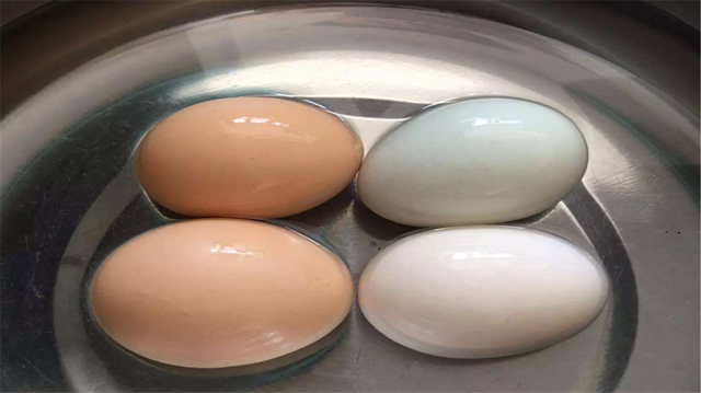 学做菜有哪些小技巧，做菜掌握的4个小技巧