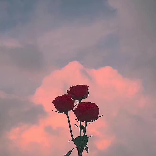 妻子出轨怎么办，发现妻子出轨怎么办（聪明的男人通常这样做）