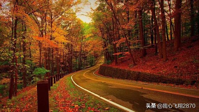 明月楼高休独倚,与中秋或月亮有关的诗有哪些(碧云天,黄叶地》) 明月楼高休独倚,与中秋或月亮有关的诗有哪些(碧云天,黄叶地》)