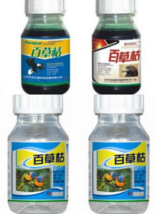 百草枯是什么东西，百草枯是干什么的（带你体验一遍百草枯的威力）