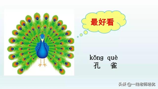 带有提手旁的字大多与什么有关，提手旁的字有哪些（部编版小学语文一年级上册第6课《比尾巴》重点知识+图文解读）