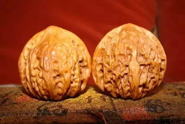 狮子头核桃种类分类有哪些（文玩核桃狮子头大全）
