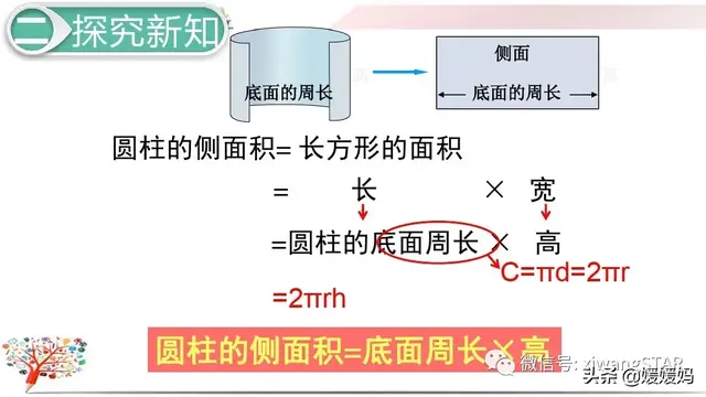 圆柱体全面积等于什么，圆柱体的面积等于（人教版六年级数学下册第三单元第3课时《圆柱的表面积）