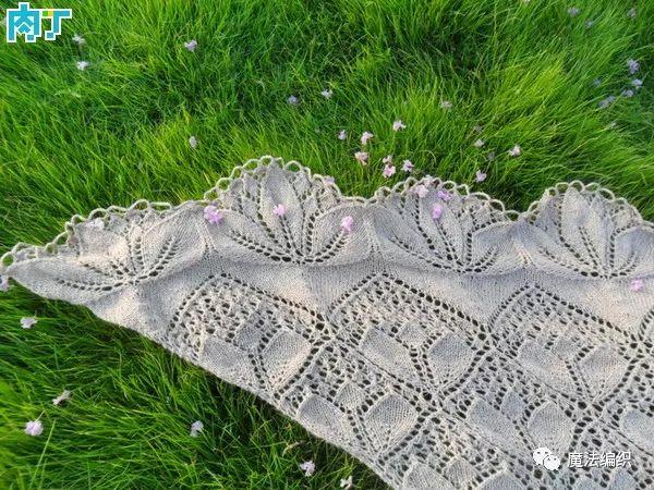 披肩的织法，披肩钩针编织花样图解（超越志田之美的手工棒针编织披肩教程图解）