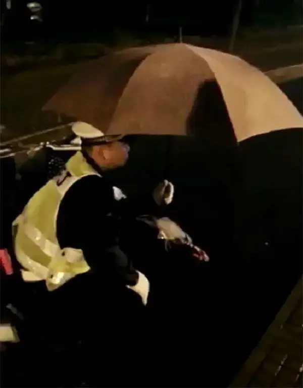 反向伞和普通伞区别，反向伞是什么样的（天堂都赞叹不已）