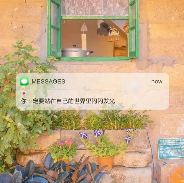 碎冰蓝玫瑰花语和寓意，碎冰蓝玫瑰寓意什么（那些温柔干净的文案）