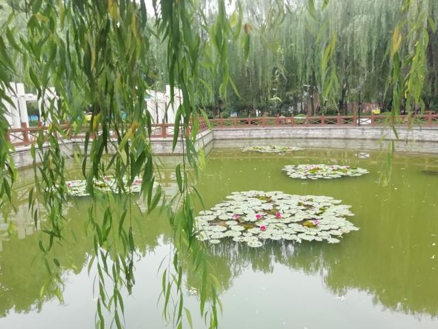 太阳地球月亮运行图，地球月球运动轨迹图（公园虽小，历史文化元素不少）