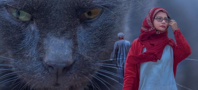 埃及下过雪吗,埃及下雪2020,埃及下雪是真的吗,埃及的雪灾