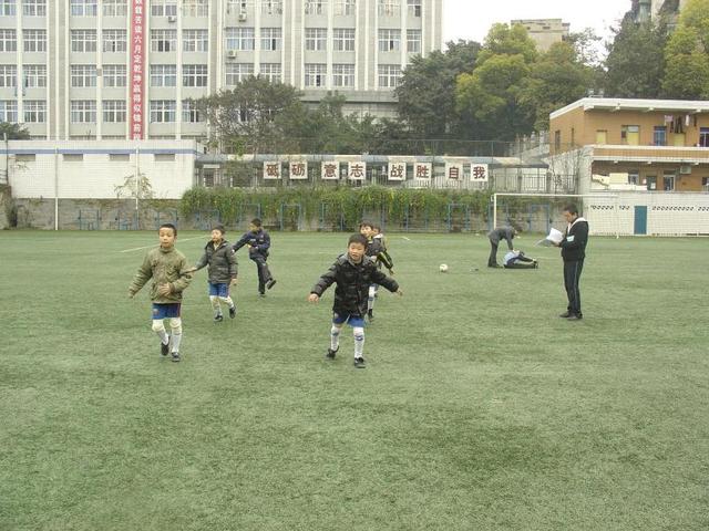 黄葛树和黄桷树的区别，黄葛树（黄葛树图片）