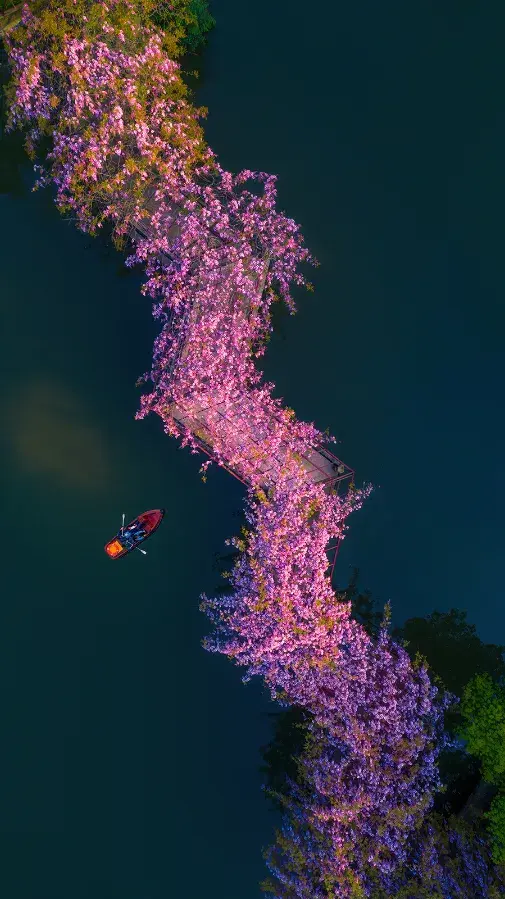 湖州市的湖叫什么，湖州市的湖叫什么 新闻（中间还有一个最美的湖州）