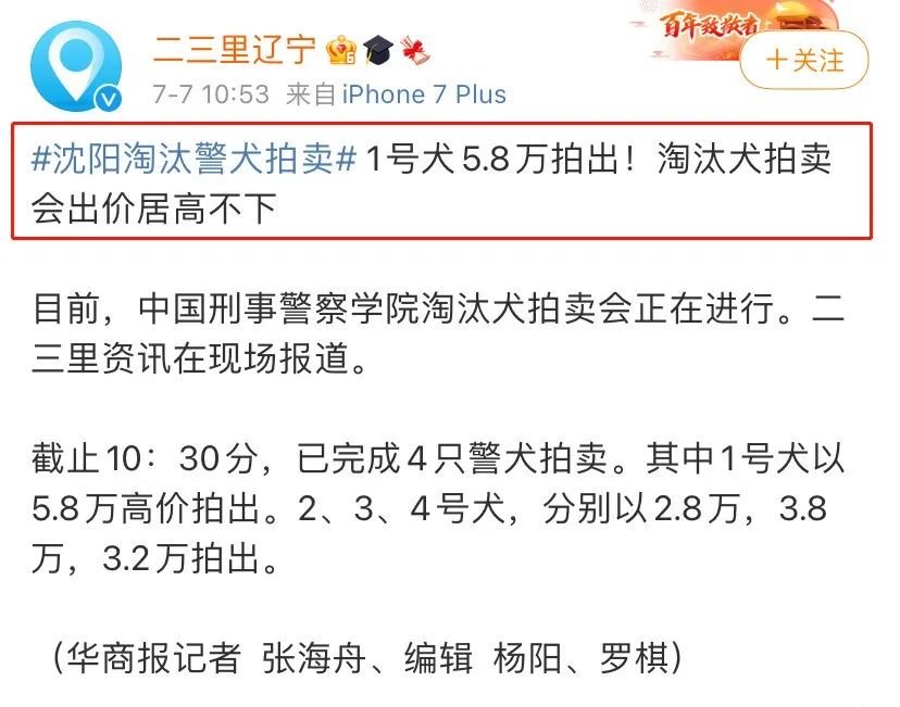 警犬多少钱一只(中国最厉害的警犬)