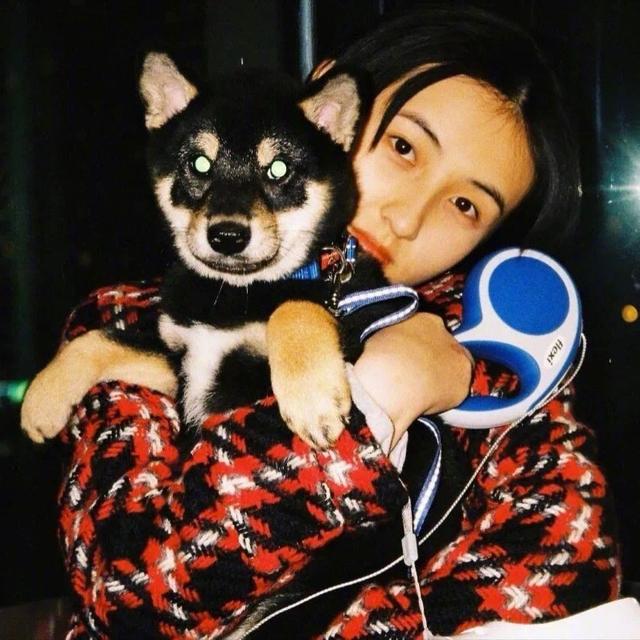 张子枫，微信头像，张子枫（张子枫头像）