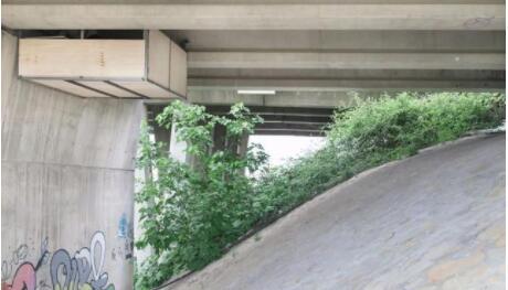 秘密基地怎么做，在迷你世界里做大型秘密基地（设计师三四十岁了才想去建秘密基地）