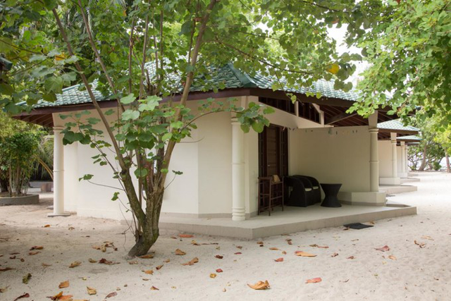 马尔代夫旅游要多少钱，2021年春节能去马尔代夫吗（能不能去马尔代夫自由旅行）