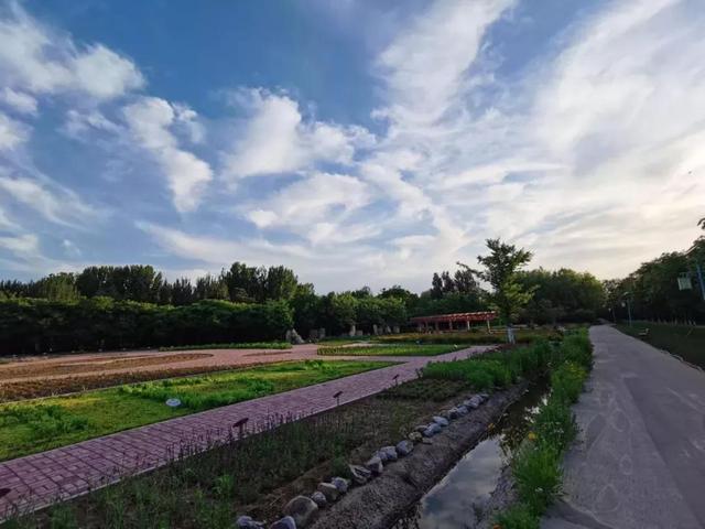 渤海大学是211吗，渤海大学是什么大学（辽宁省普通高等院校）