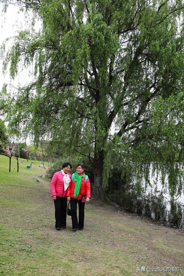 最简单能令人放松心情的图片 偶尔防空一下自己，让人心情放松的图片（醉倒在那片春色里）