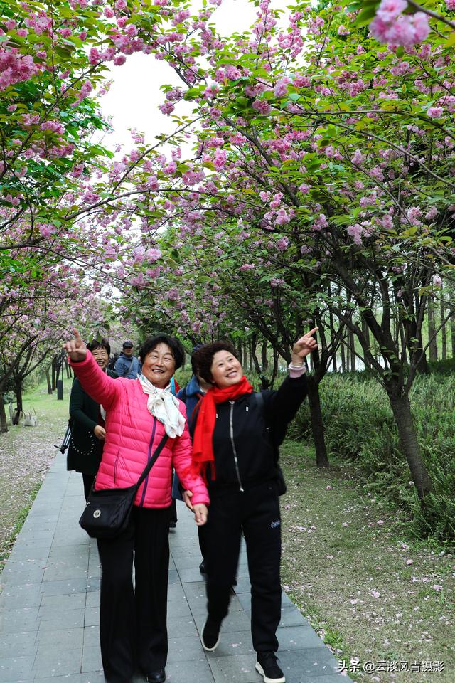 最简单能令人放松心情的图片 偶尔防空一下自己，让人心情放松的图片（醉倒在那片春色里）