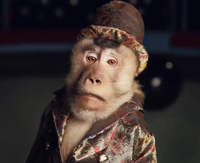 死神辣条有多辣，死神辣条有多辣图片（世界最辣的死神辣椒）