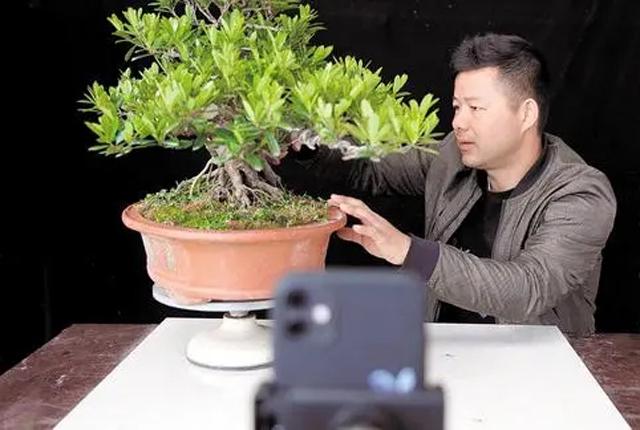 在家做什么能赚钱(在家工作正规平台)