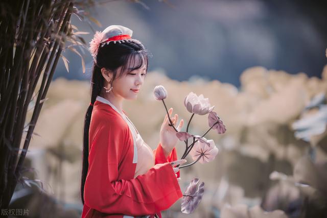 淇怎么读，淇怎么读（淇释义）（我心中的诗经——淇奥）