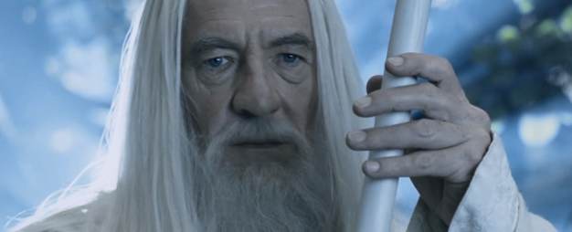 哈利波特一共有几部，哈利波特小说有几部（《哈利波特》泪点来了）