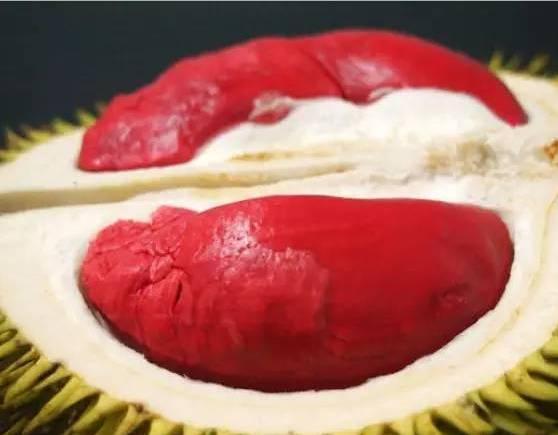 榴莲死包是什么意思，榴莲死包是什么样的（金枕、猫山王、甲仑、干尧、青尼）