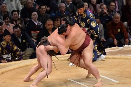 相扑选手平均寿命，日本相扑手寿命（年超100万美元）