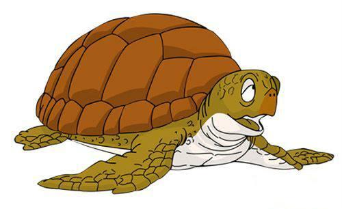 海龟是两栖动物吗，海龟是不是两栖动物（海龟历史久活得还久）