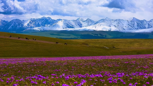 择一城终老你会选择哪里，选择一城终老什么意思（她说：若要择一城终老）