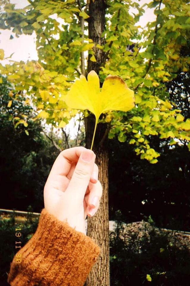 韶关云门寺，韶关云门寺图片（韶关这座色彩斑斓的古寺现在去正好）