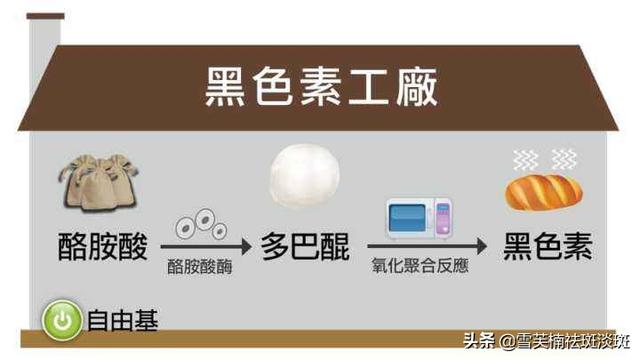 怎样可以祛斑最简单的祛斑方法，祛斑最好的方法（如何快速祛斑方法）