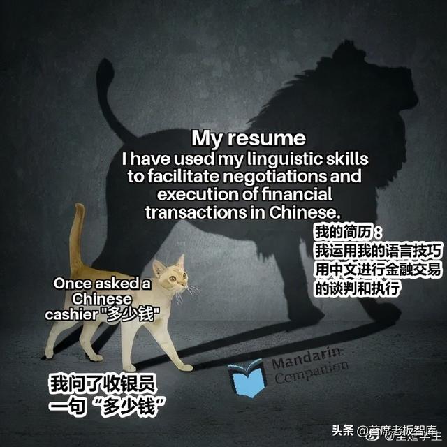 直呼内行什么梗，直呼内行什么意思（奇葩中文名翻车现场）