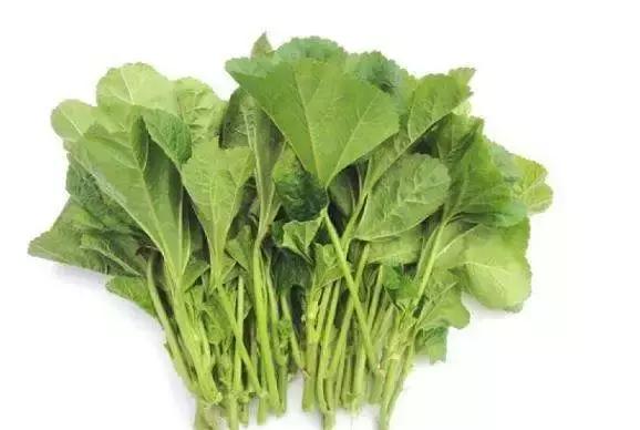 大头菜和卷心菜是一个菜吗，卷心菜和包菜的区别（12种蔬菜的N种四川喊法）