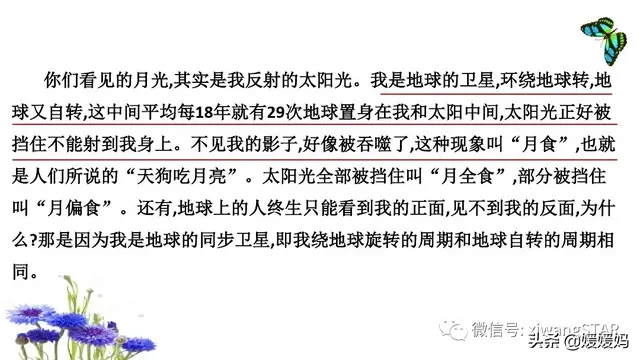 惊呼的近义词，部编版四年级语文上册期末知识点汇总附模拟卷及答案