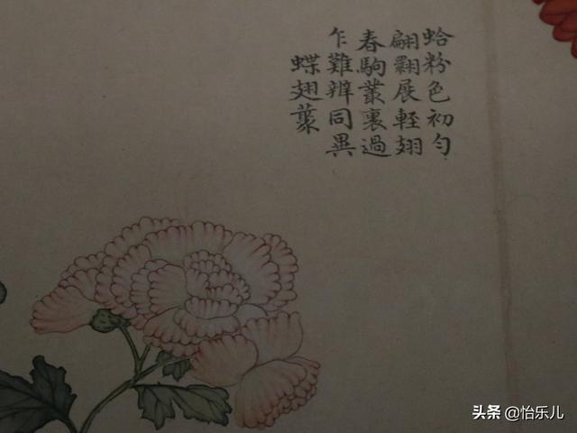 葩的读音（葩怎么读，葩是什么意思（金佛座、搓粉妆、绶带紫、鹤头丹）