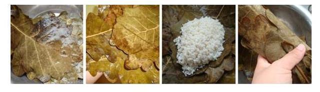 包粽子的叶子是什么植物的叶子，粽子叶是什么植物的叶子（端午百科：年年吃粽子）