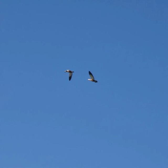 蓝色背景图，蓝色背景图片竖版（蓝色系朋友圈背景图）