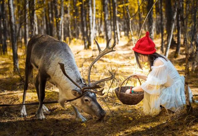 海拉尔旅游景点大全，海拉尔景点（呼伦贝尔18条旅游线路发布）