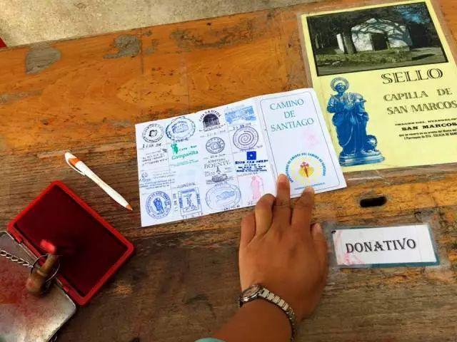 带子和扇贝的区别，带子和扇贝有什么区别（可你知道它前世今生的冷知识吗）