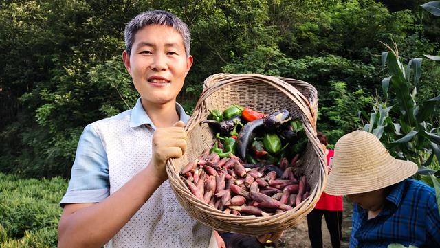 洋荷姜什么人不能吃，洋荷姜什么人不能吃呢（湖北十堰特色蔬菜阳荷姜）